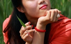 无翼乌漫画全彩集少女漫画大